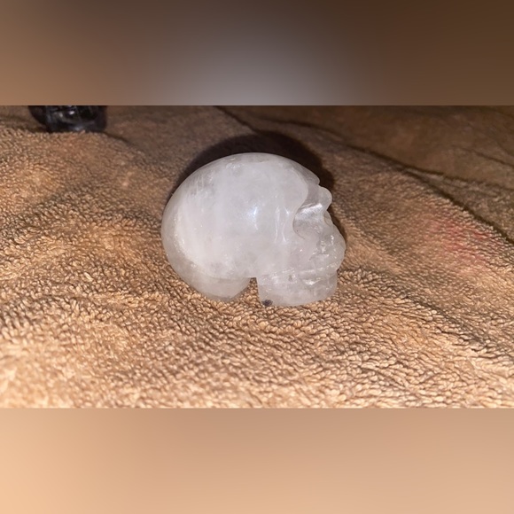 Skull party - Picture 11 of 11